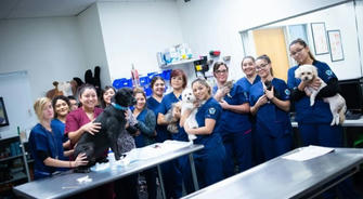 How To Become A Veterinary Assistant In Four Weeks?
